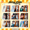 SKZ Lover Photocard Exclusive Edition