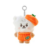 BT21 BABY ORANGE PARTY JP Edition Keyring