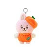 BT21 BABY ORANGE PARTY JP Edition Keyring