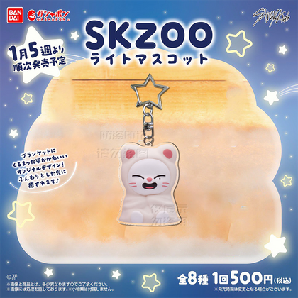 SKZOO x BANDAI CUTE KEYRING